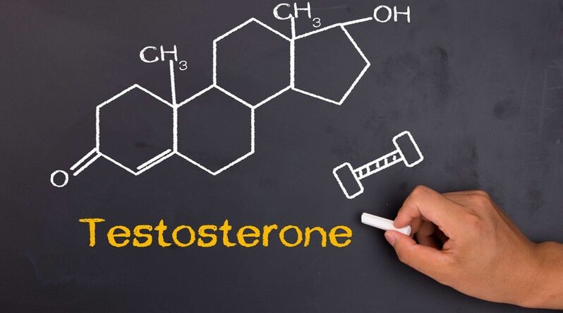 Les niveaux de testostérone affectent la taille du pénis masculin